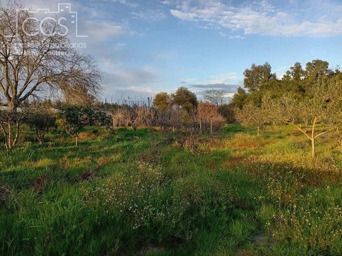 1 bedroom Finca/Country House for sale in Almonte - € 70,000 (Ref: 8931788)