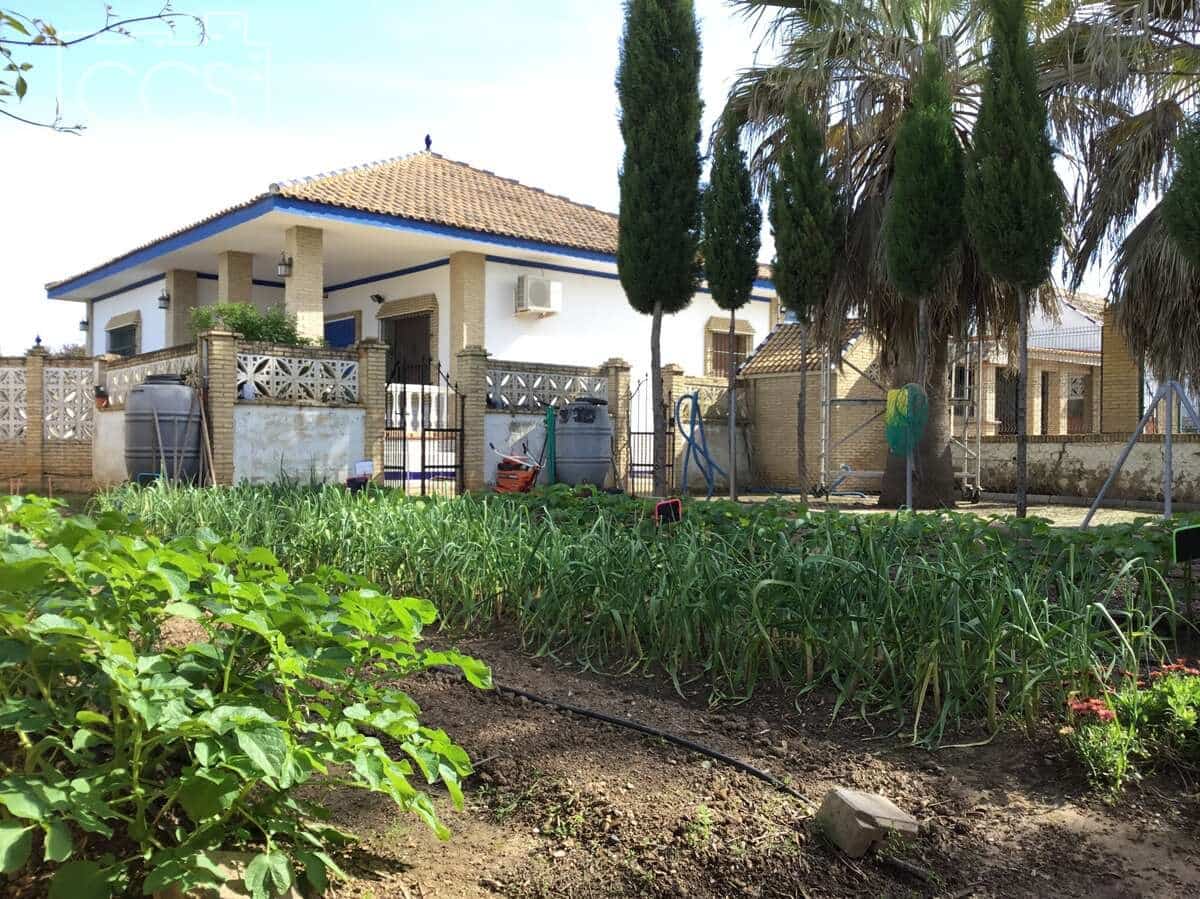 3 soverom Finca/Herregård til salgs i Pilas med svømmebasseng - € 280 000 (Ref: 8936500)