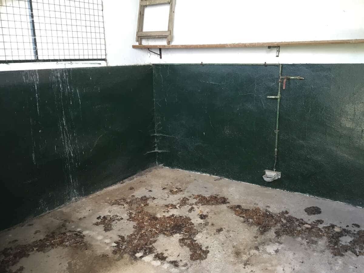 3 soverom Finca/Herregård til salgs i Pilas med svømmebasseng - € 280 000 (Ref: 8936500)