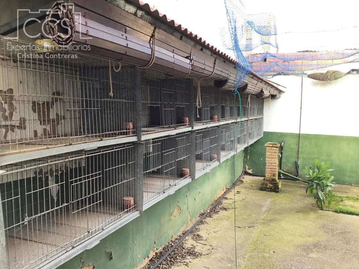 3 soverom Finca/Herregård til salgs i Pilas med svømmebasseng - € 280 000 (Ref: 8936500)