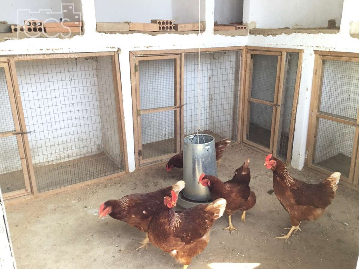 3 soverom Finca/Herregård til salgs i Pilas med svømmebasseng - € 280 000 (Ref: 8936500)