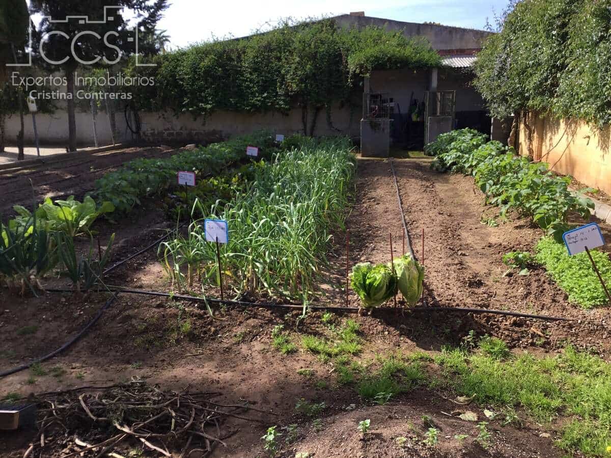 3 soverom Finca/Herregård til salgs i Pilas med svømmebasseng - € 280 000 (Ref: 8936500)