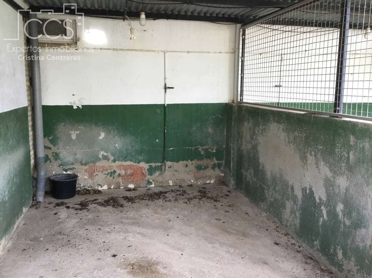 3 soverom Finca/Herregård til salgs i Pilas med svømmebasseng - € 280 000 (Ref: 8936500)