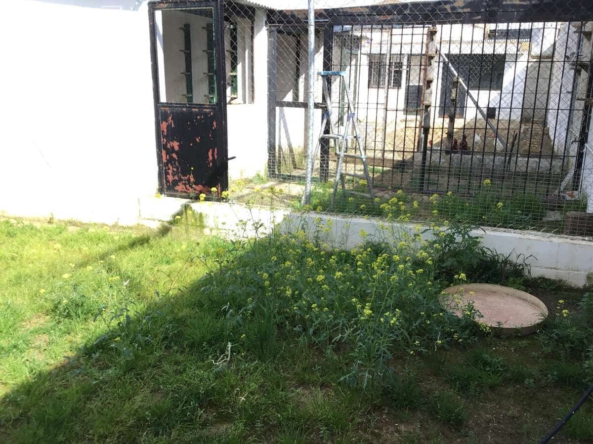 3 soverom Finca/Herregård til salgs i Pilas med svømmebasseng - € 280 000 (Ref: 8936500)