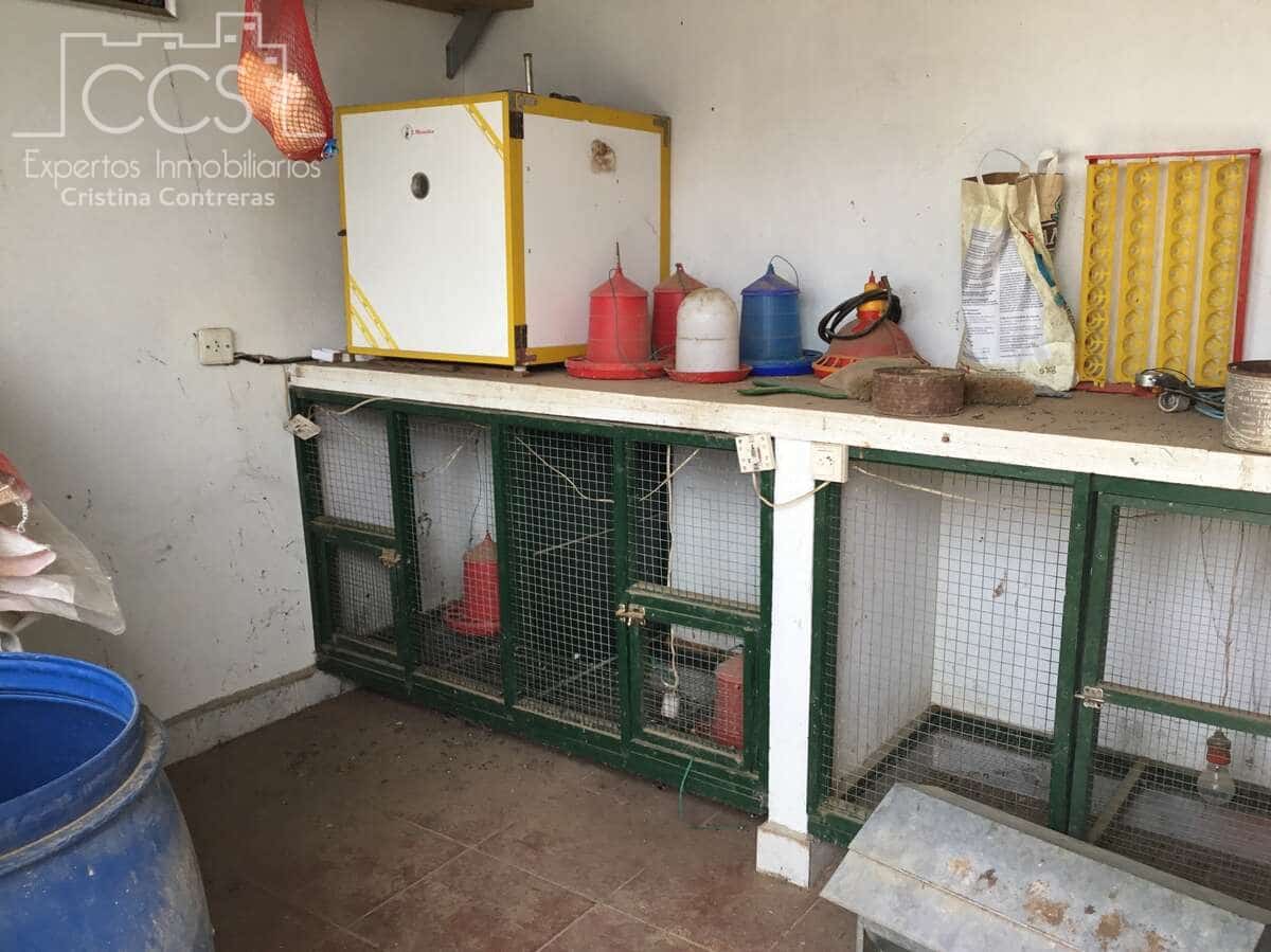 3 soverom Finca/Herregård til salgs i Pilas med svømmebasseng - € 280 000 (Ref: 8936500)