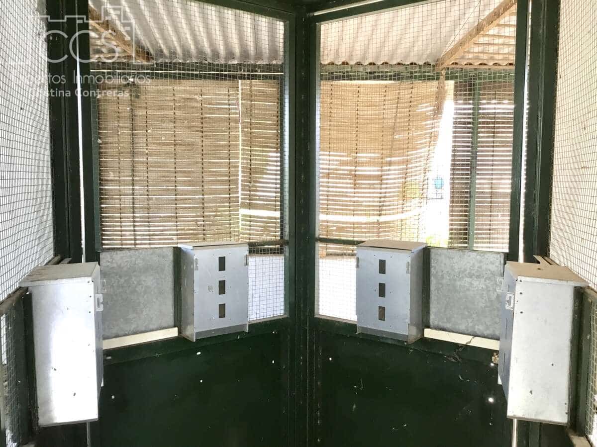 3 soverom Finca/Herregård til salgs i Pilas med svømmebasseng - € 280 000 (Ref: 8936500)