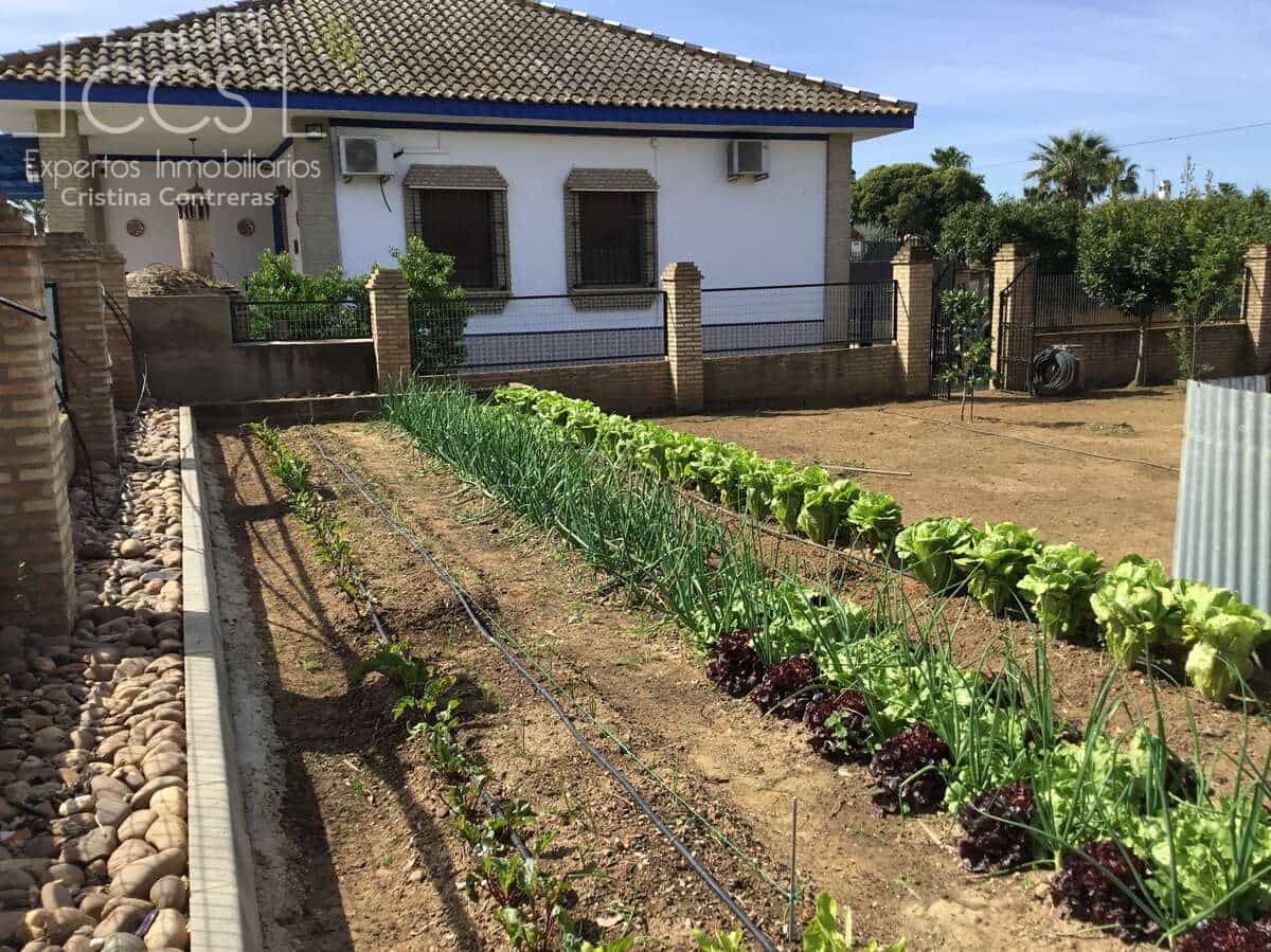 3 soverom Finca/Herregård til salgs i Pilas med svømmebasseng - € 280 000 (Ref: 8936500)