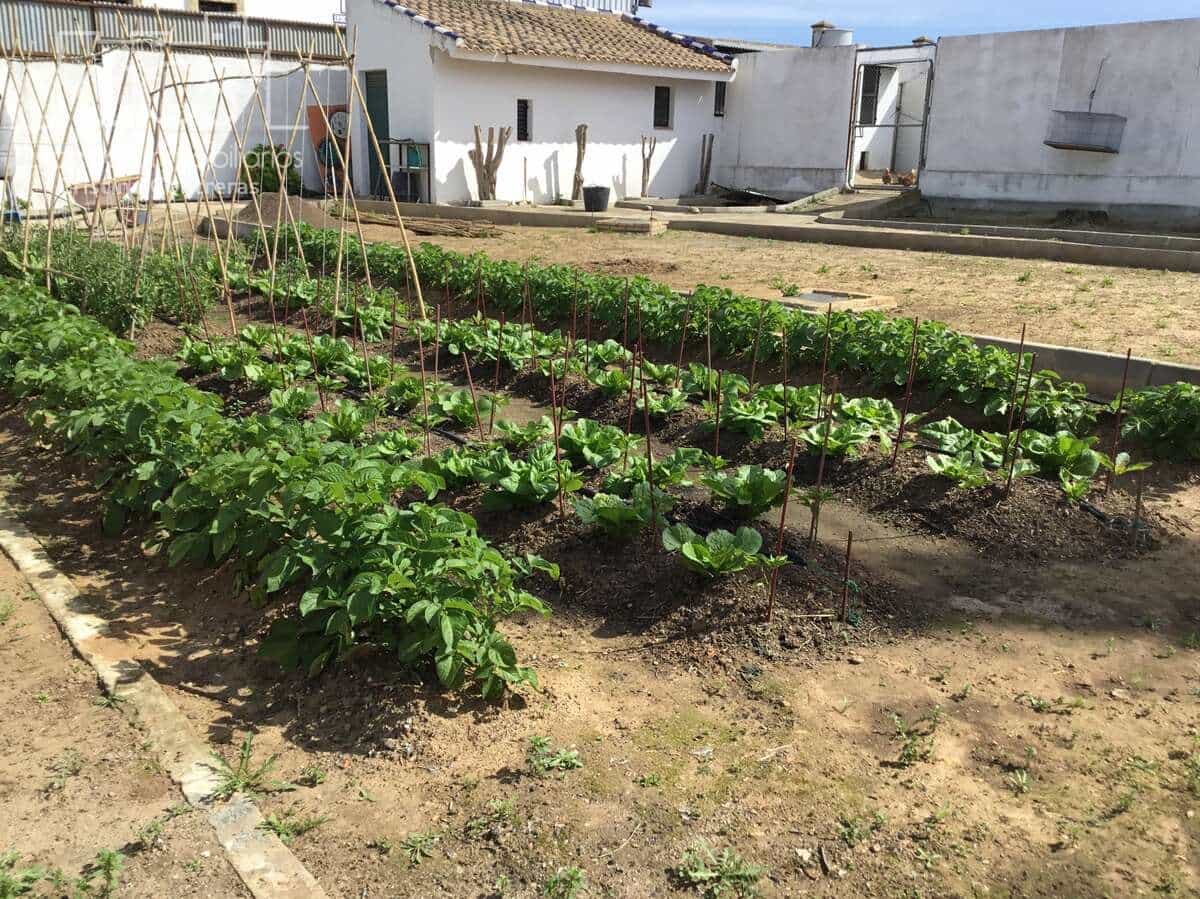 3 soverom Finca/Herregård til salgs i Pilas med svømmebasseng - € 280 000 (Ref: 8936500)