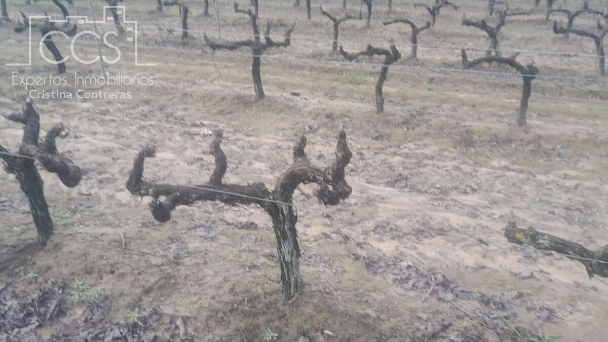 Byggetomt til salgs i Almonte - € 22 000 (Ref: 8950020)