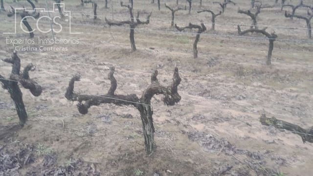 Building Plot for sale in Almonte - € 22,000 (Ref: 8950020)