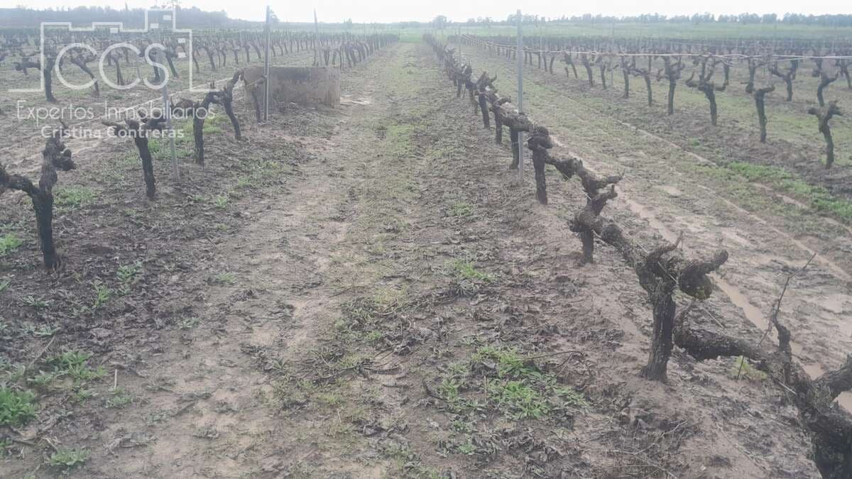 Byggetomt til salgs i Almonte - € 22 000 (Ref: 8950020)