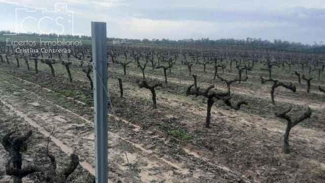 Building Plot for sale in Almonte - € 22,000 (Ref: 8950020)