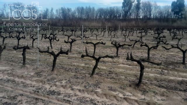 Building Plot for sale in Almonte - € 22,000 (Ref: 8950020)