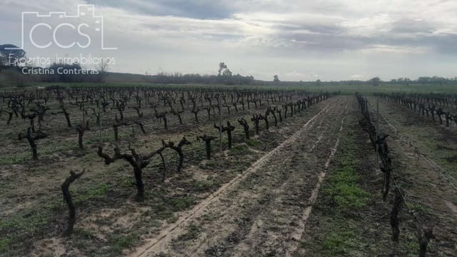 Building Plot for sale in Almonte - € 22,000 (Ref: 8950020)