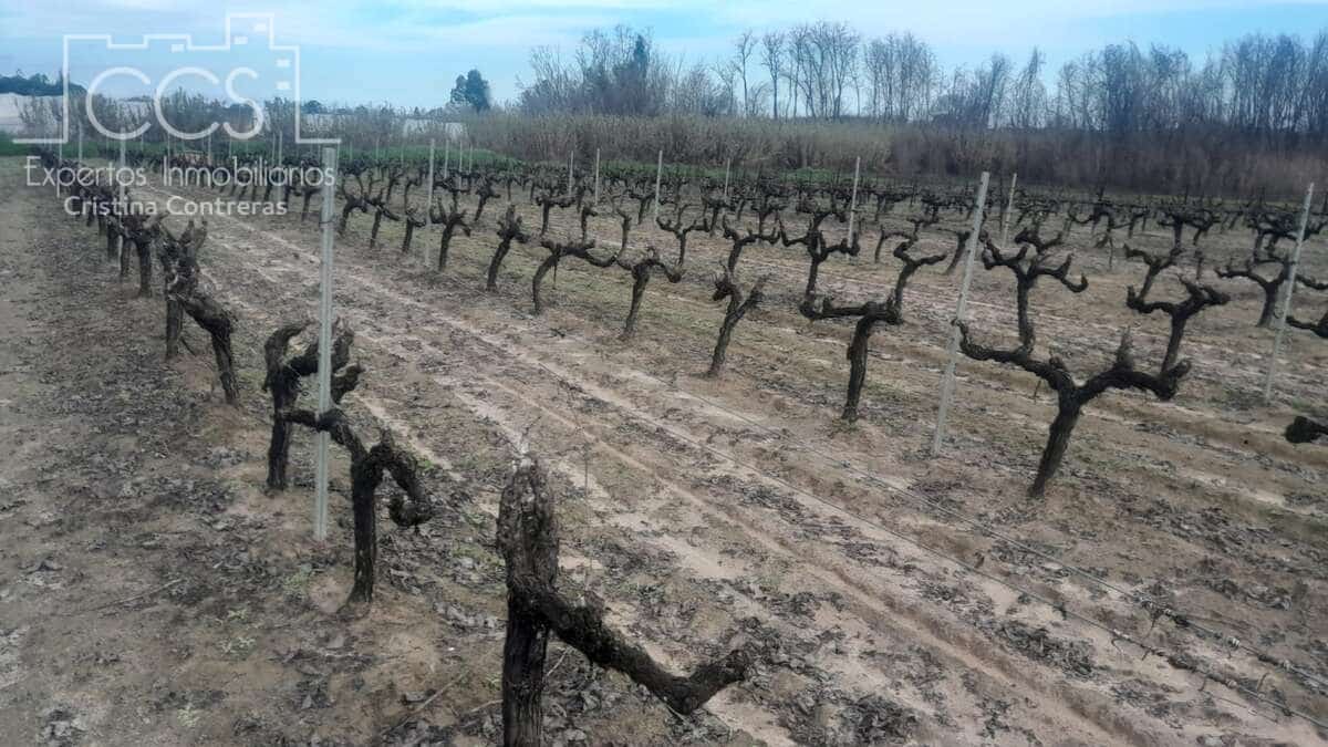 Byggetomt til salgs i Almonte - € 22 000 (Ref: 8950020)