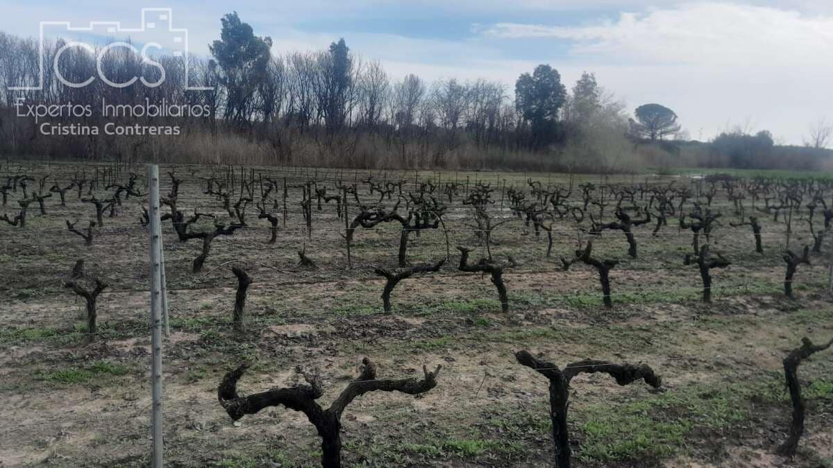 Byggetomt til salgs i Almonte - € 22 000 (Ref: 8950020)