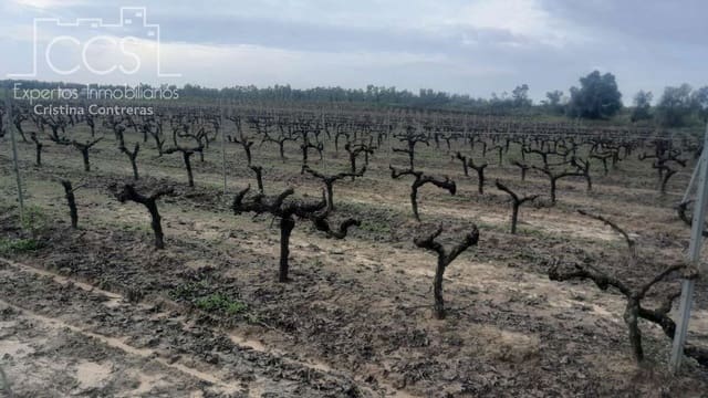 Building Plot for sale in Almonte - € 22,000 (Ref: 8950020)