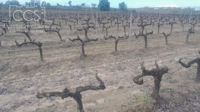 Building Plot for sale in Almonte - € 22,000 (Ref: 8950020)