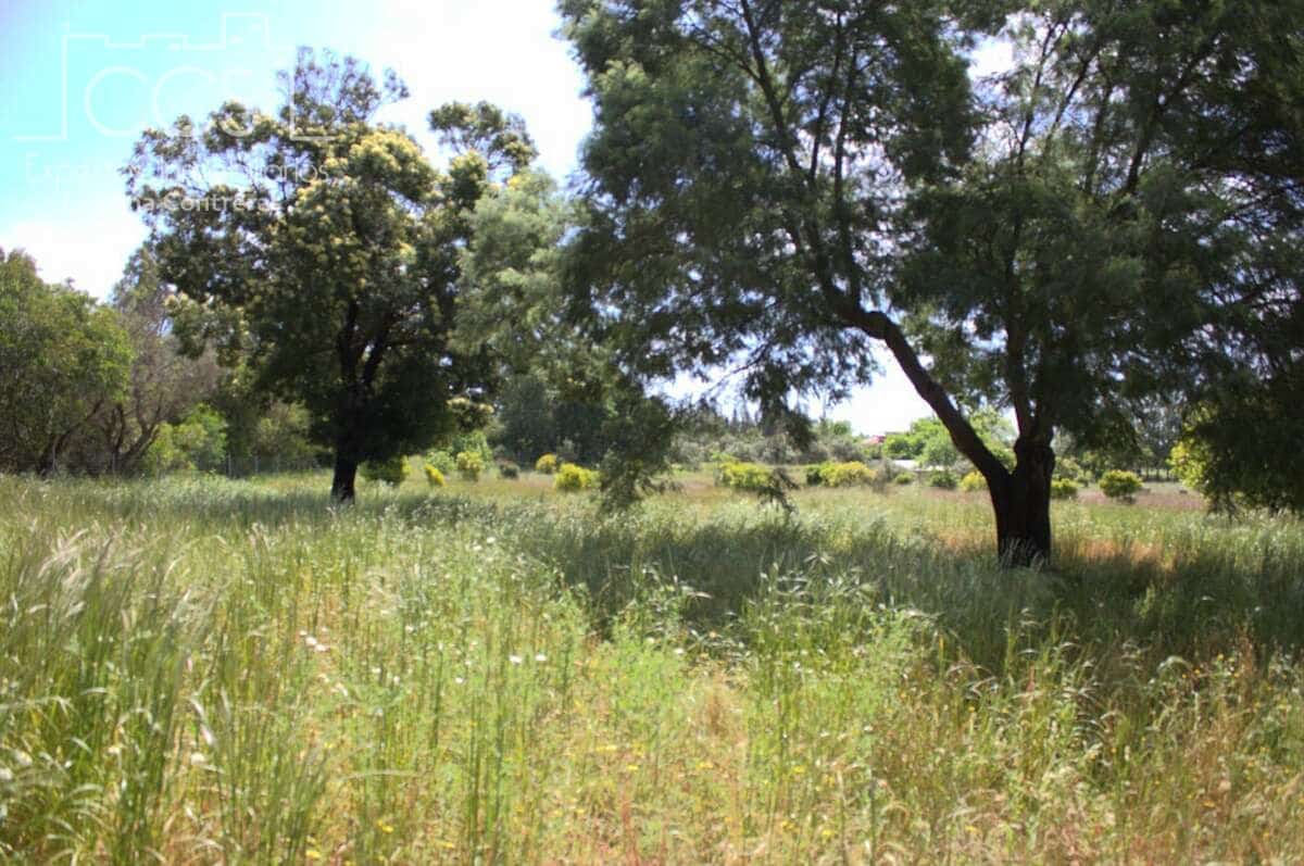 2 bedroom Finca/Country House for sale in Almonte - € 58,000 (Ref: 8990364)