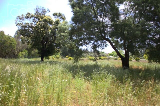 2 sovrum Finca/Hus på landet till salu i Almonte - 58 000 € (Ref: 8990364)