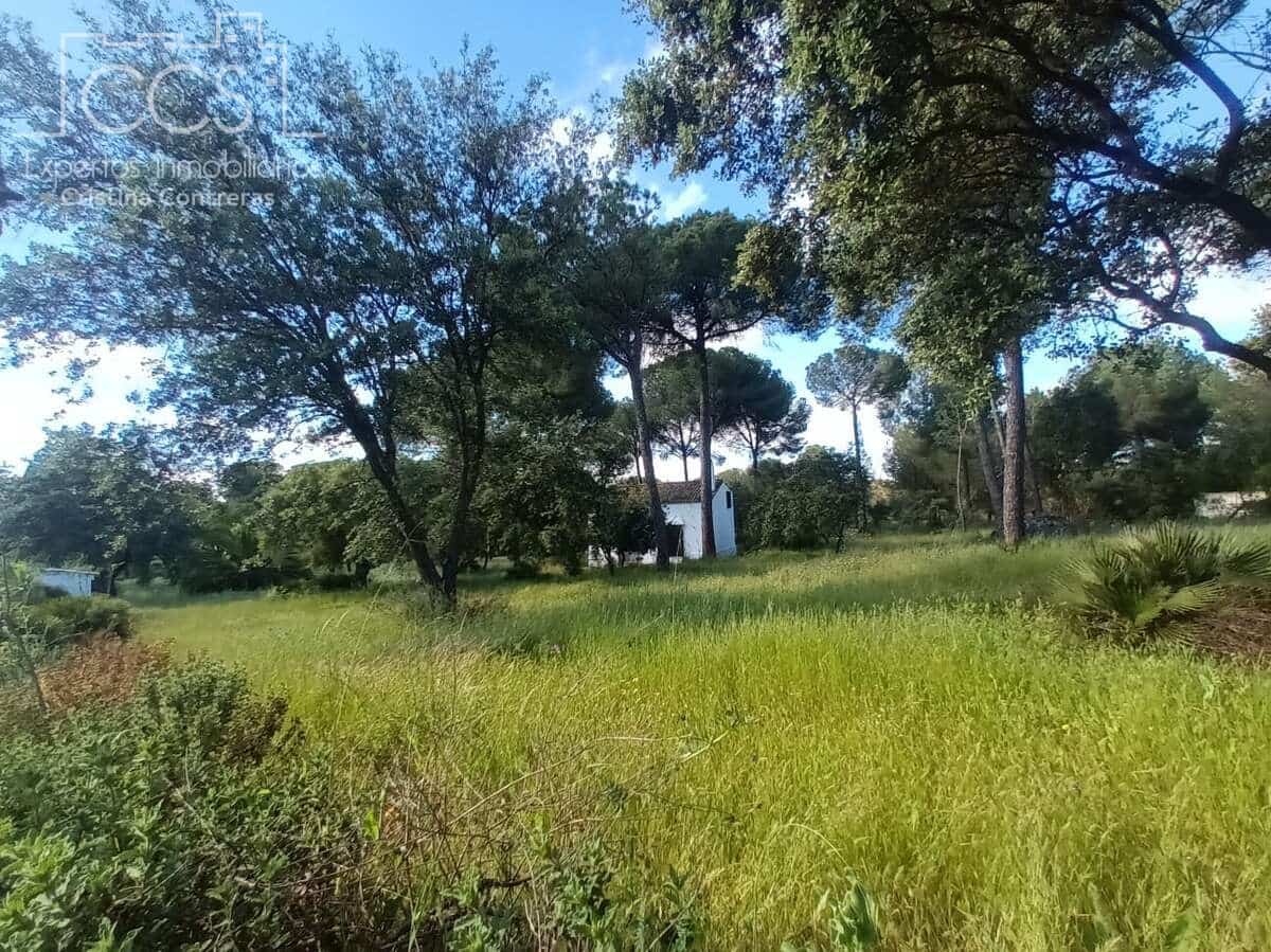 2 bedroom Finca/Country House for sale in Almonte - € 58,000 (Ref: 8990364)