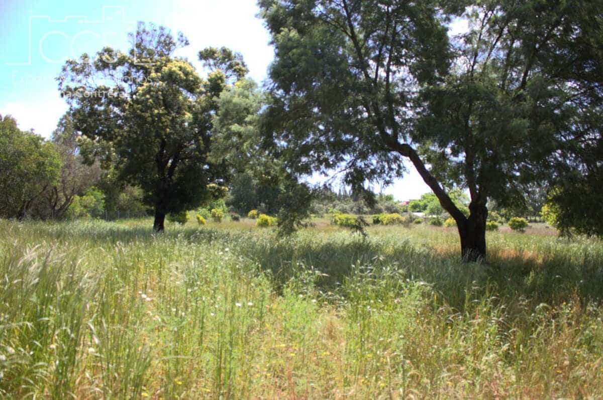 2 bedroom Finca/Country House for sale in Almonte - € 58,000 (Ref: 8990364)