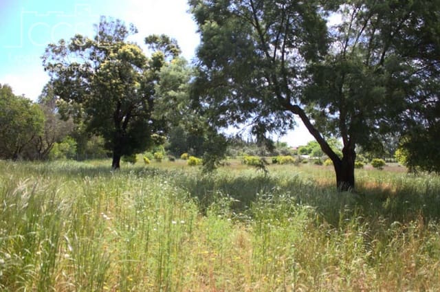 2 soverom Finca/Herregård til salgs i Almonte - € 58 000 (Ref: 8990364)