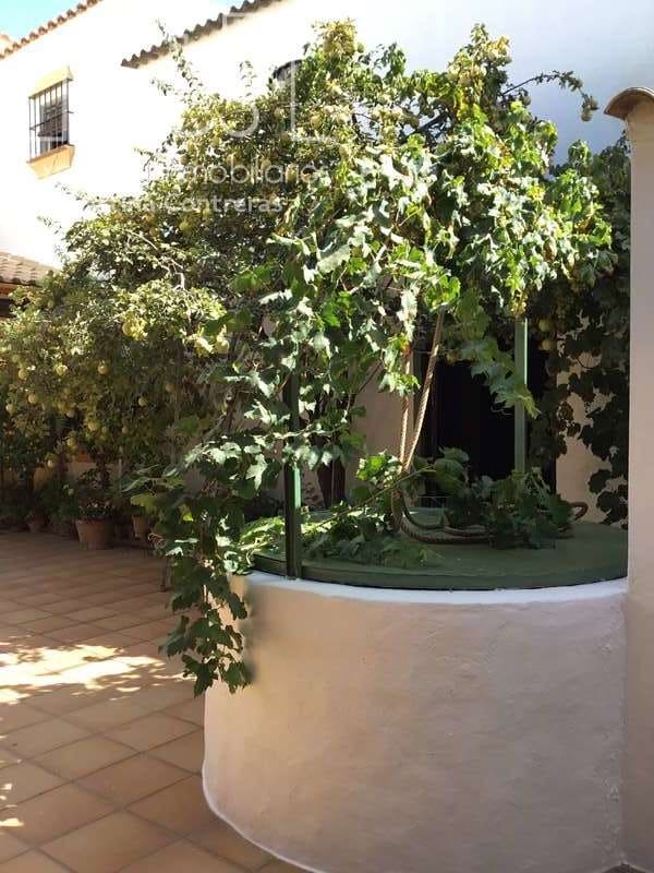 5 chambre Maison de Ville à vendre à La Palma del Condado avec garage - 290 000 € (Ref: 9036262)