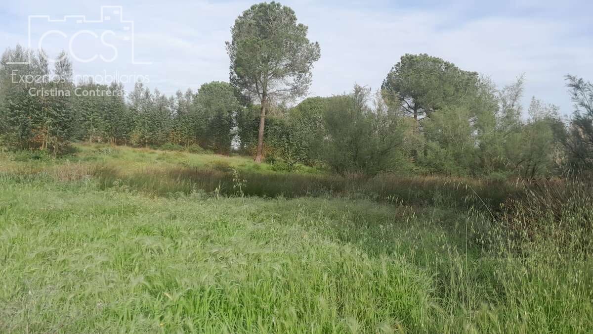 Building Plot for sale in Almonte - € 66,000 (Ref: 9077695)
