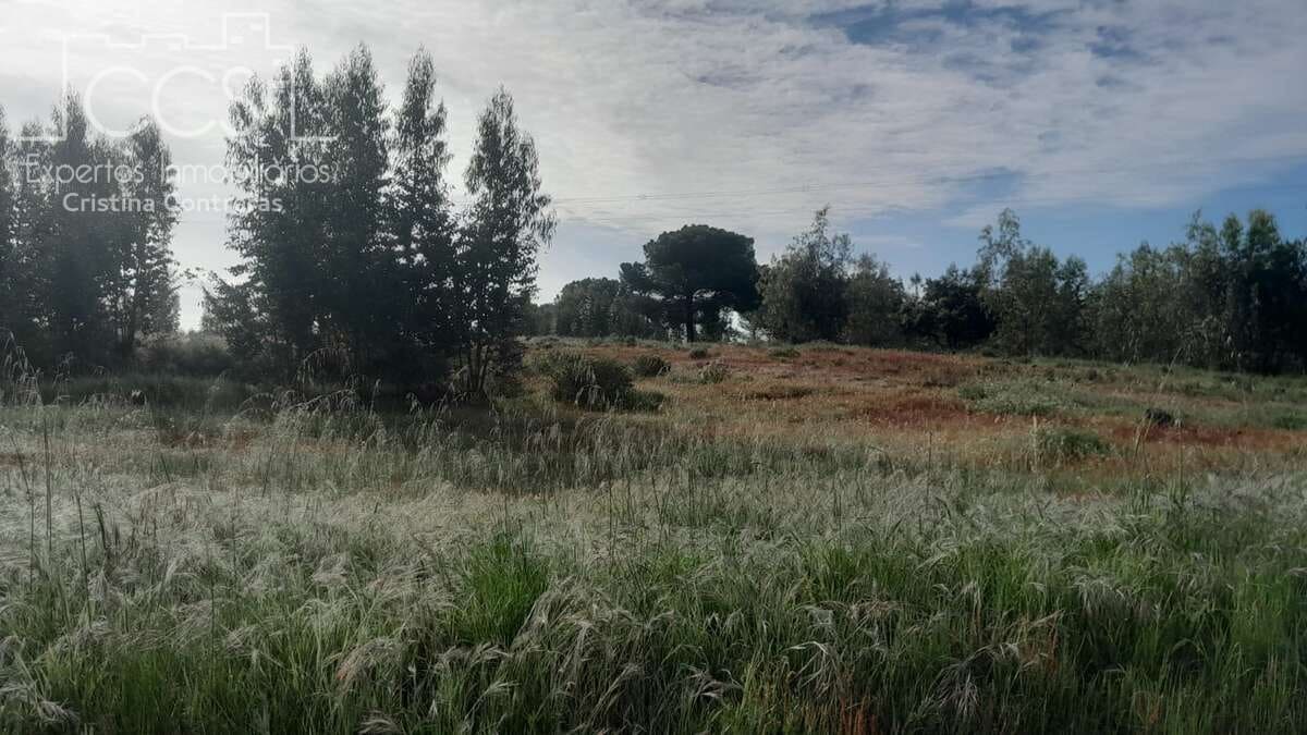 Building Plot for sale in Almonte - € 66,000 (Ref: 9077695)