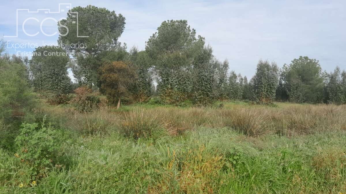 Building Plot for sale in Almonte - € 66,000 (Ref: 9077695)