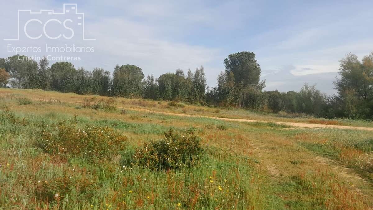 Building Plot for sale in Almonte - € 66,000 (Ref: 9077695)