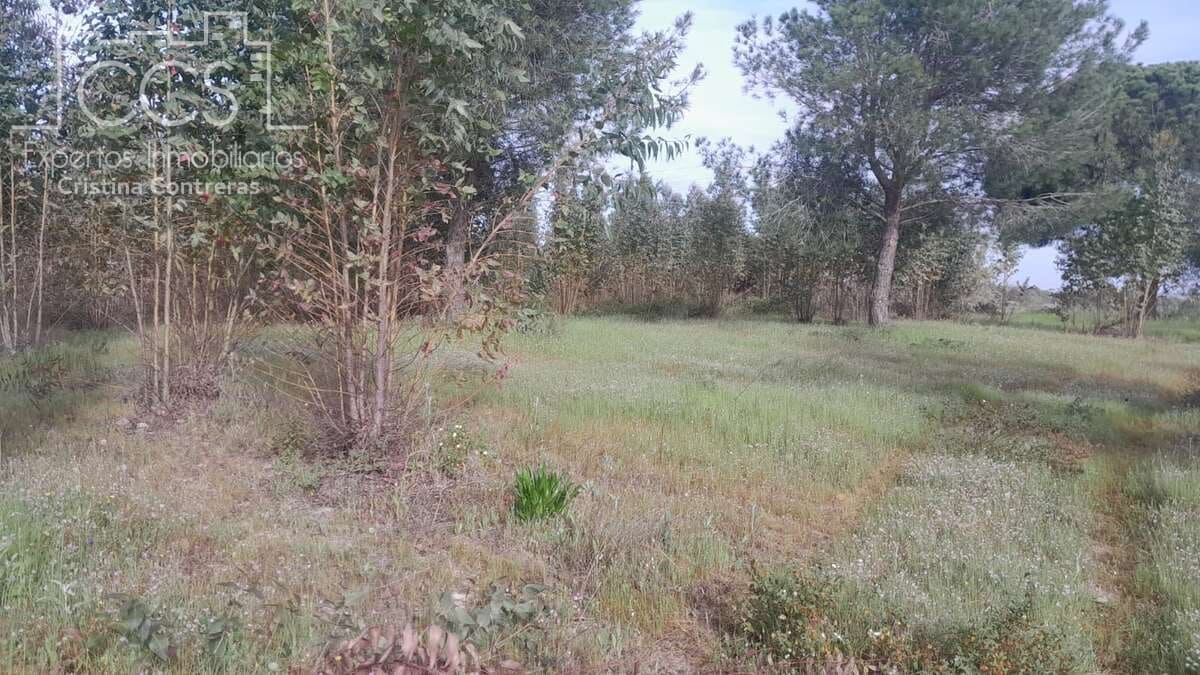 Building Plot for sale in Almonte - € 66,000 (Ref: 9077695)