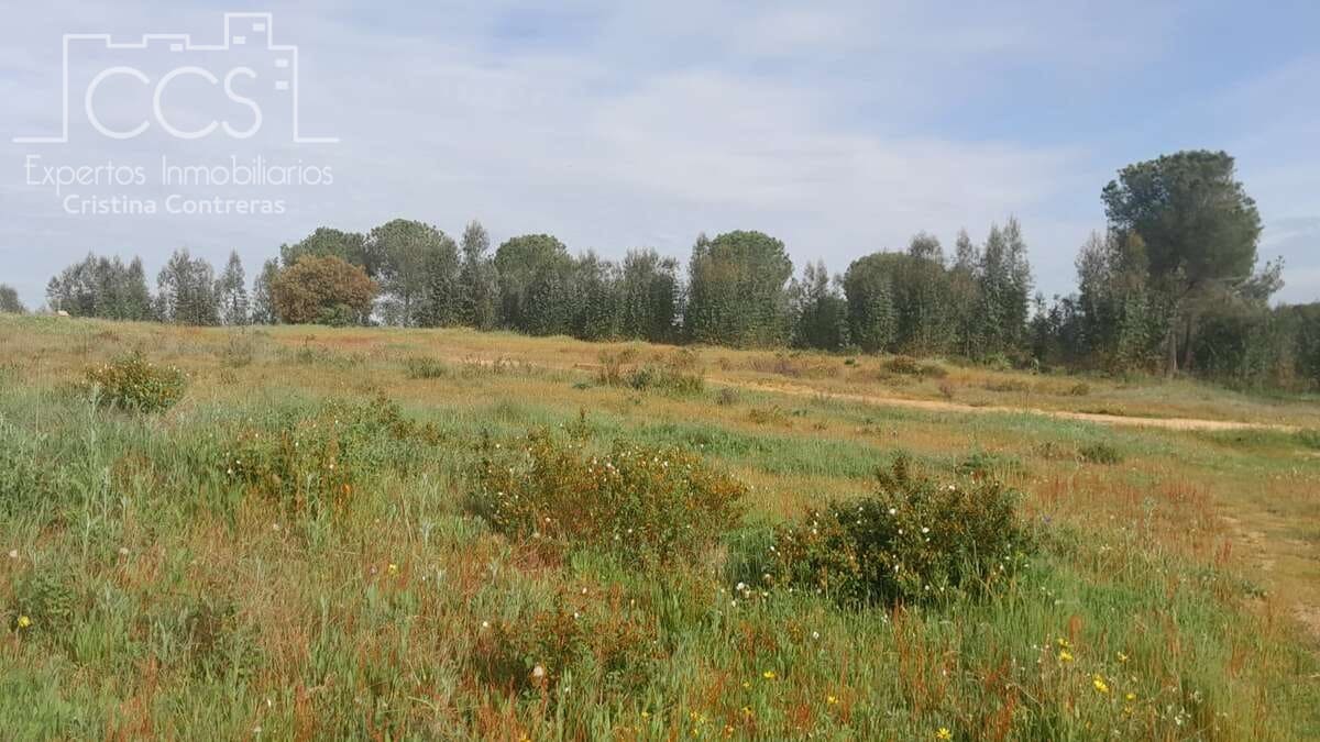Building Plot for sale in Almonte - € 66,000 (Ref: 9077695)
