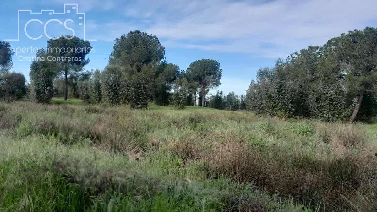 Building Plot for sale in Almonte - € 66,000 (Ref: 9077695)
