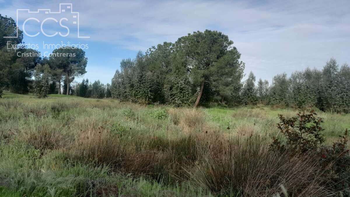 Building Plot for sale in Almonte - € 66,000 (Ref: 9077695)