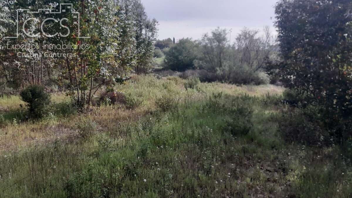 Building Plot for sale in Almonte - € 66,000 (Ref: 9077695)