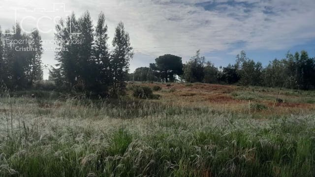 Building Plot for sale in Almonte - € 66,000 (Ref: 9077695)