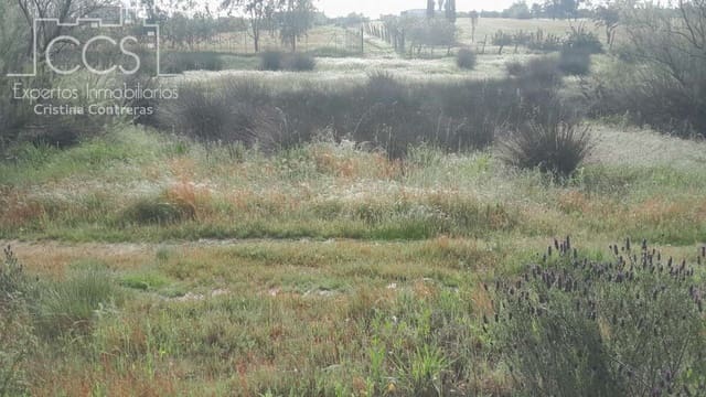 Building Plot for sale in Almonte - € 66,000 (Ref: 9077695)