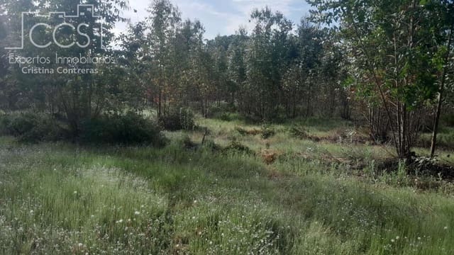 Building Plot for sale in Almonte - € 66,000 (Ref: 9077695)