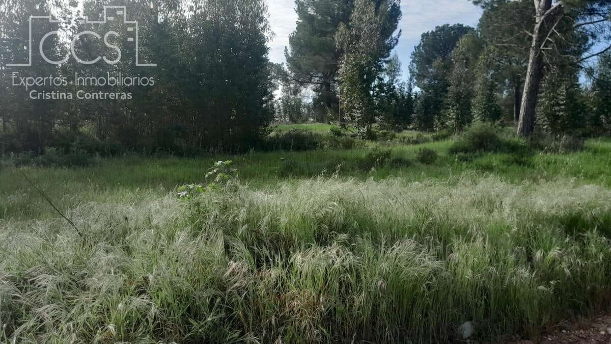 Building Plot for sale in Almonte - € 66,000 (Ref: 9077695)