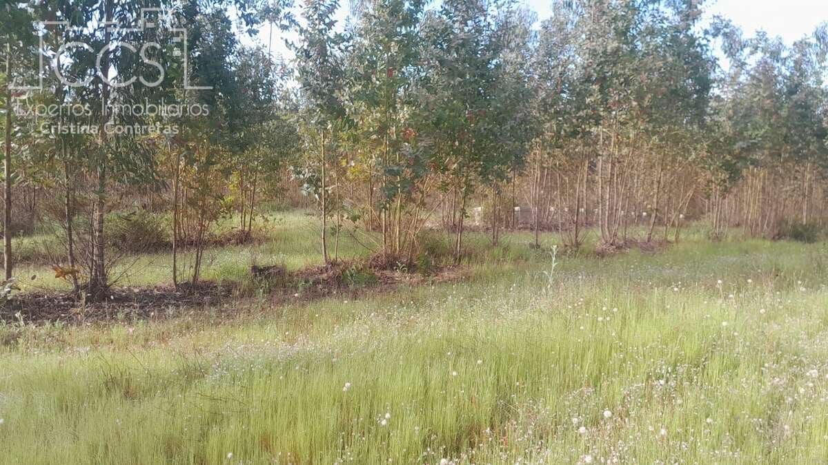 Building Plot for sale in Almonte - € 66,000 (Ref: 9077695)