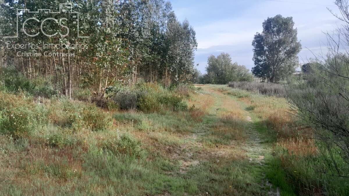 Building Plot for sale in Almonte - € 66,000 (Ref: 9077695)