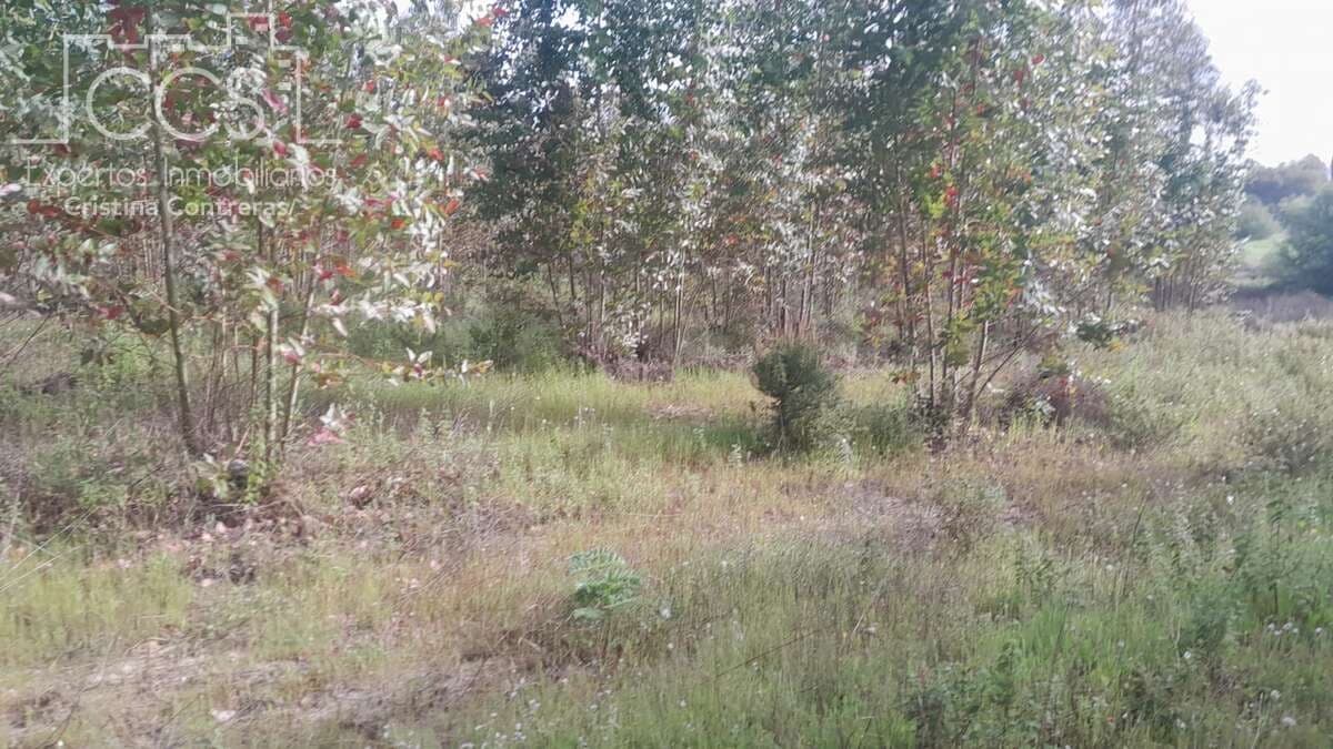 Building Plot for sale in Almonte - € 66,000 (Ref: 9077695)