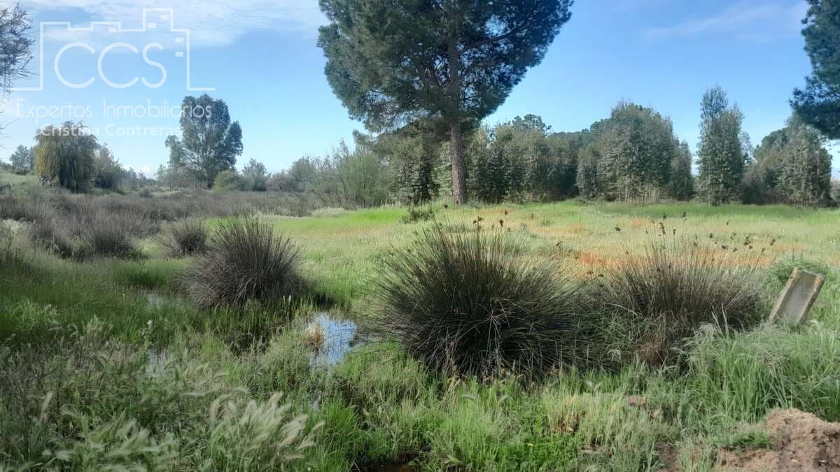 Building Plot for sale in Almonte - € 66,000 (Ref: 9077695)