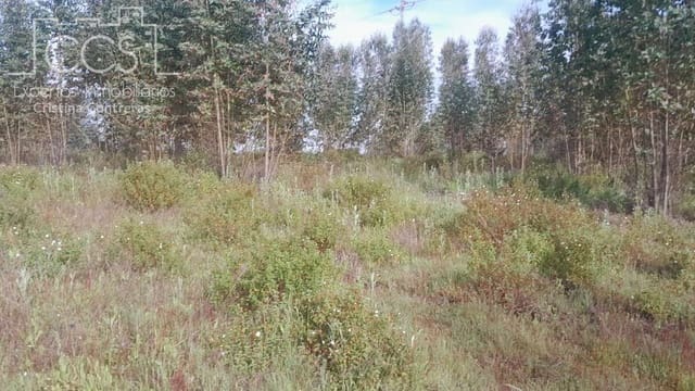 Building Plot for sale in Almonte - € 66,000 (Ref: 9077695)