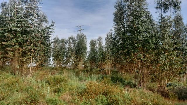 Building Plot for sale in Almonte - € 66,000 (Ref: 9077695)