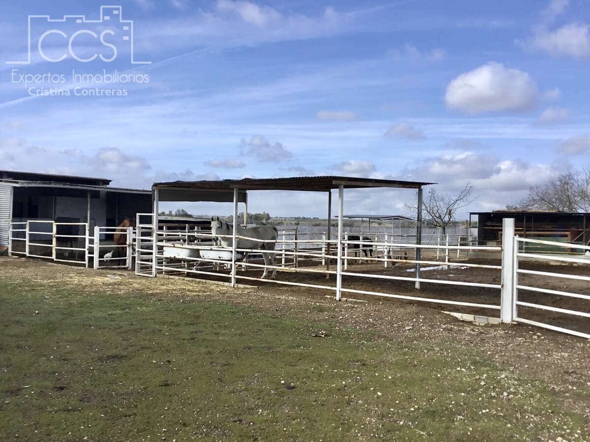 1 bedroom Finca/Country House for sale in Almonte - € 490,000 (Ref: 9200914)