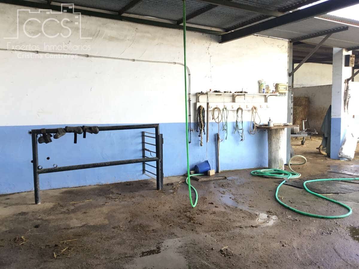 1 bedroom Finca/Country House for sale in Almonte - € 490,000 (Ref: 9200914)