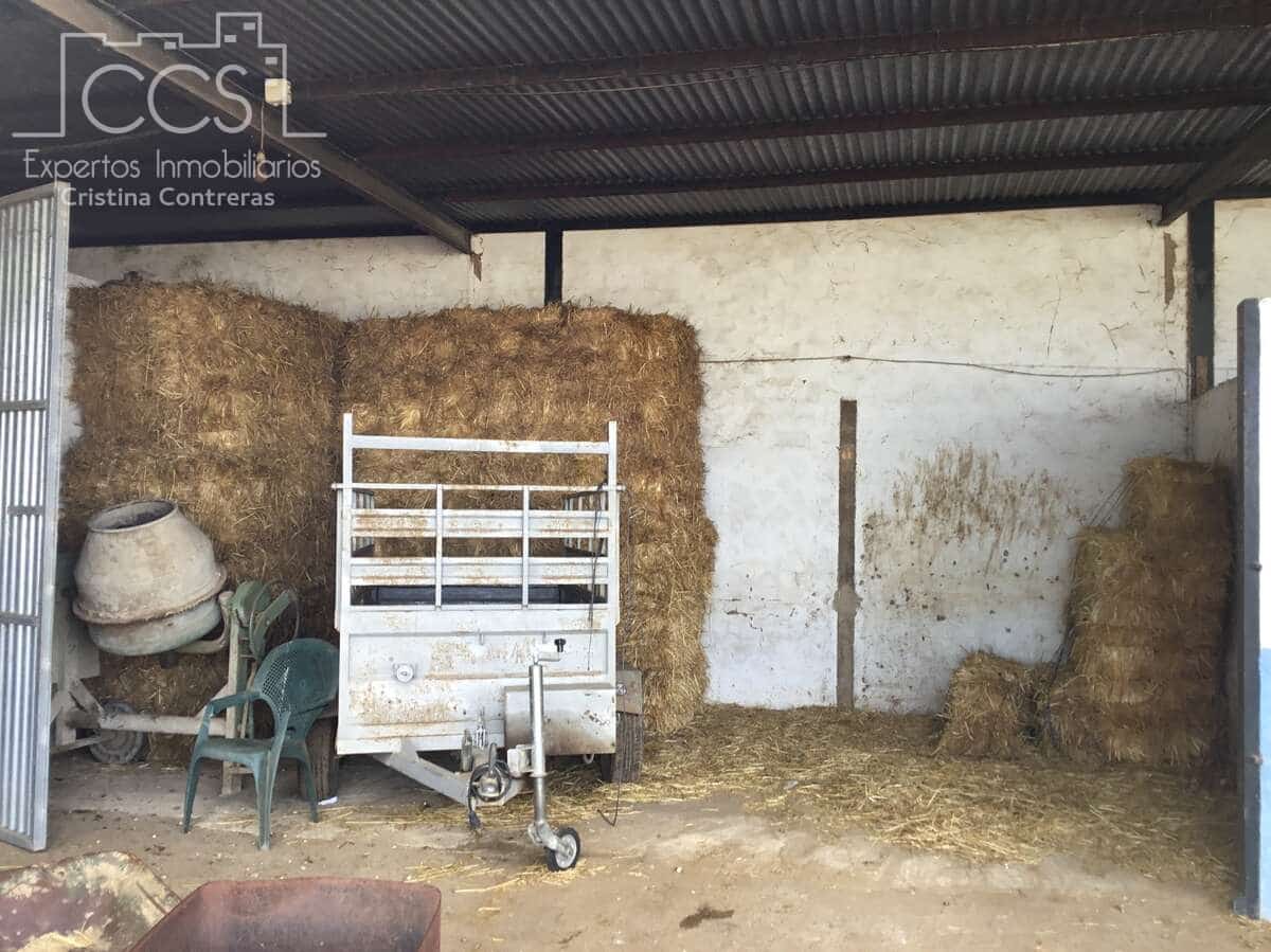 1 bedroom Finca/Country House for sale in Almonte - € 490,000 (Ref: 9200914)